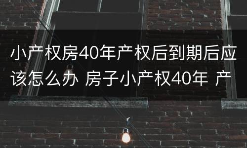 小产权房40年产权后到期后应该怎么办 房子小产权40年 产权年限到了怎么办