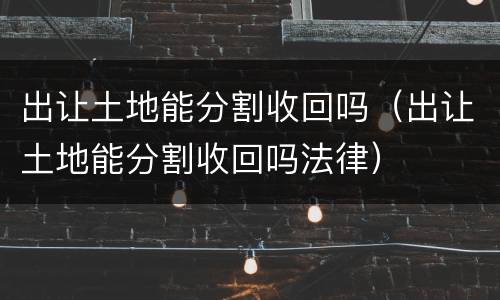 出让土地能分割收回吗（出让土地能分割收回吗法律）