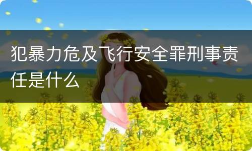 犯暴力危及飞行安全罪刑事责任是什么