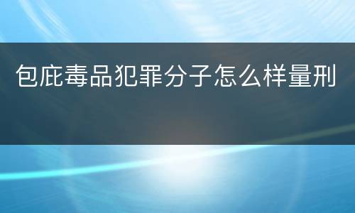 包庇毒品犯罪分子怎么样量刑