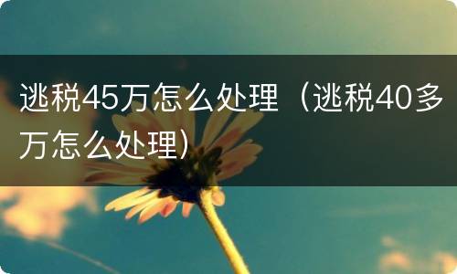 逃税45万怎么处理（逃税40多万怎么处理）