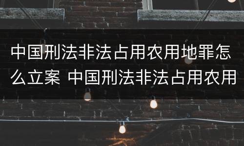 中国刑法非法占用农用地罪怎么立案 中国刑法非法占用农用地罪怎么立案的