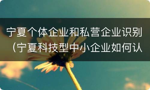 宁夏个体企业和私营企业识别（宁夏科技型中小企业如何认定）