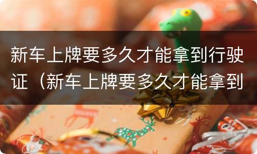 新车上牌要多久才能拿到行驶证（新车上牌要多久才能拿到行驶证原件）