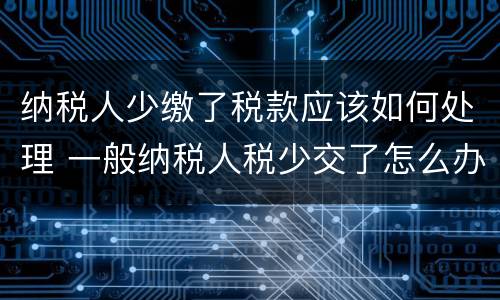 纳税人少缴了税款应该如何处理 一般纳税人税少交了怎么办