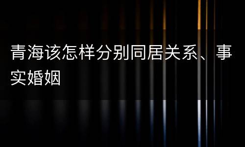 青海该怎样分别同居关系、事实婚姻