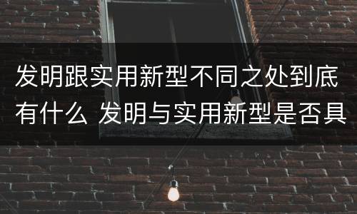 发明跟实用新型不同之处到底有什么 发明与实用新型是否具有实用性