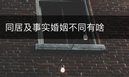 同居及事实婚姻不同有啥