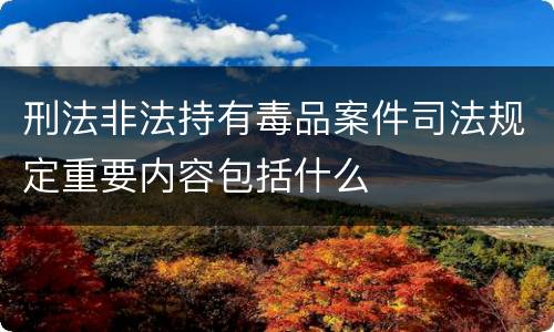 刑法非法持有毒品案件司法规定重要内容包括什么
