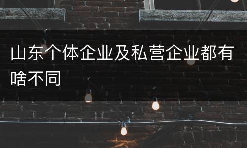 山东个体企业及私营企业都有啥不同
