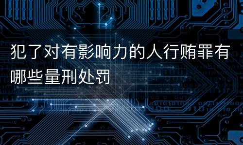 犯了对有影响力的人行贿罪有哪些量刑处罚
