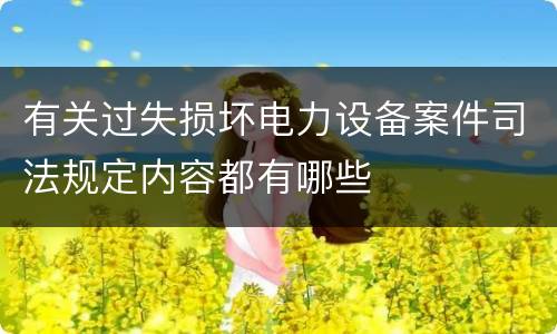 有关过失损坏电力设备案件司法规定内容都有哪些