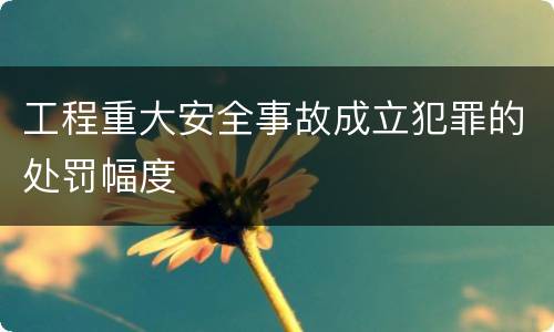 工程重大安全事故成立犯罪的处罚幅度