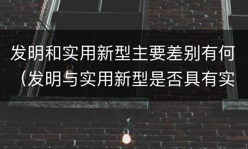 发明和实用新型主要差别有何（发明与实用新型是否具有实用性）