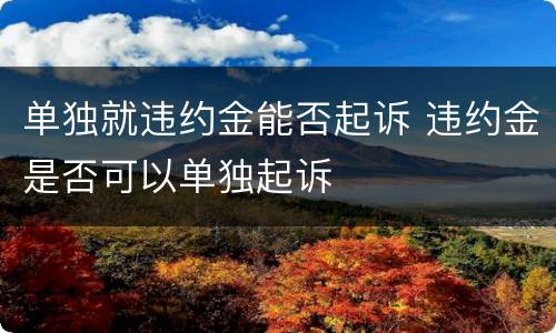 单独就违约金能否起诉 违约金是否可以单独起诉