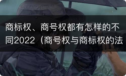 商标权、商号权都有怎样的不同2022（商号权与商标权的法律冲突与解决）