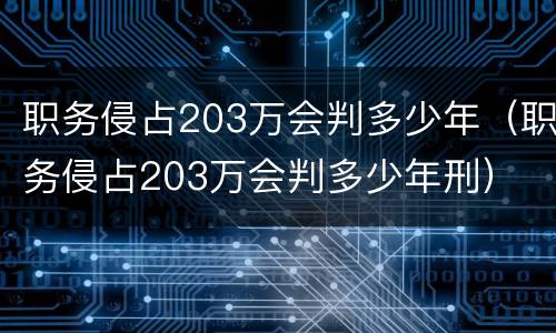职务侵占203万会判多少年（职务侵占203万会判多少年刑）