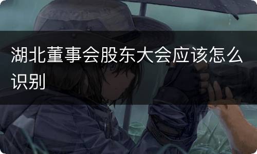 湖北董事会股东大会应该怎么识别
