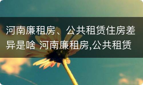 河南廉租房、公共租赁住房差异是啥 河南廉租房,公共租赁住房差异是啥原因