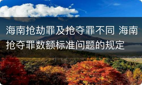 海南抢劫罪及抢夺罪不同 海南抢夺罪数额标准问题的规定
