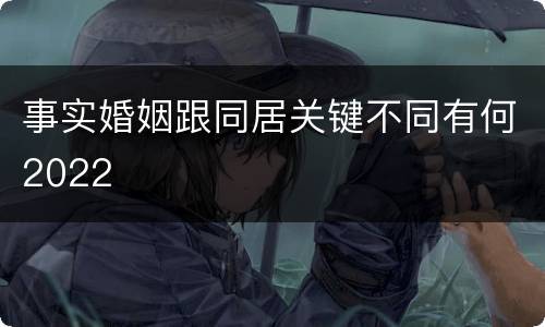 事实婚姻跟同居关键不同有何2022