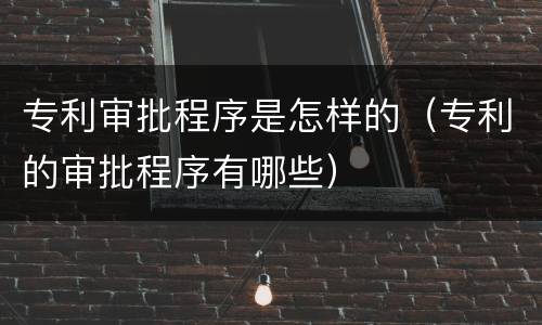 专利审批程序是怎样的（专利的审批程序有哪些）