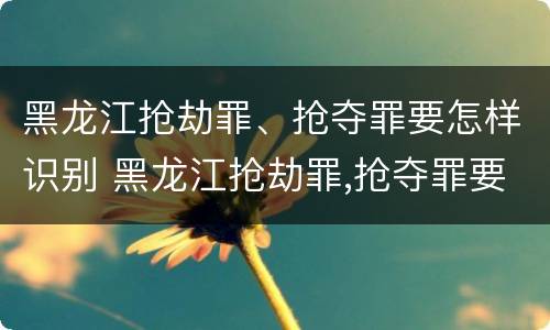黑龙江抢劫罪、抢夺罪要怎样识别 黑龙江抢劫罪,抢夺罪要怎样识别证据