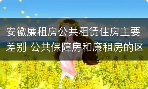 安徽廉租房公共租赁住房主要差别 公共保障房和廉租房的区别