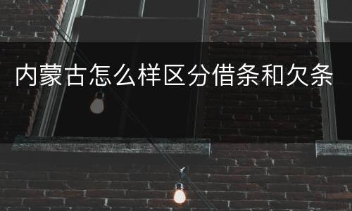 内蒙古怎么样区分借条和欠条