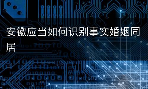 安徽应当如何识别事实婚姻同居