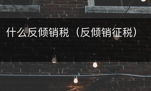 什么反倾销税（反倾销征税）