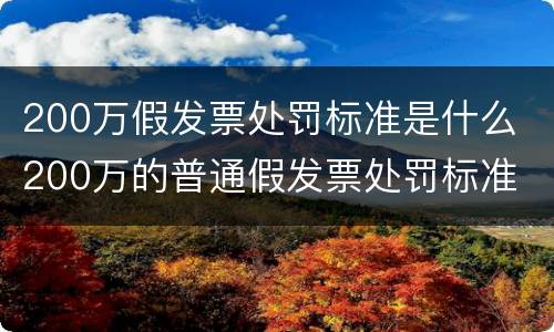 200万假发票处罚标准是什么 200万的普通假发票处罚标准