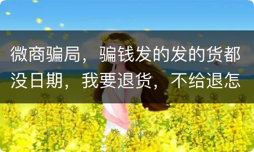 微商骗局，骗钱发的发的货都没日期，我要退货，不给退怎么办
