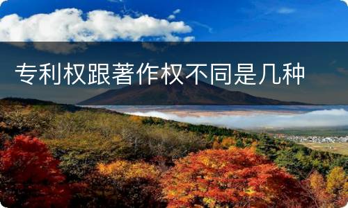 专利权跟著作权不同是几种