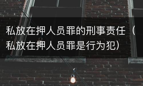 私放在押人员罪的刑事责任（私放在押人员罪是行为犯）