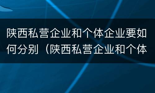 陕西私营企业和个体企业要如何分别（陕西私营企业和个体企业要如何分别交税）