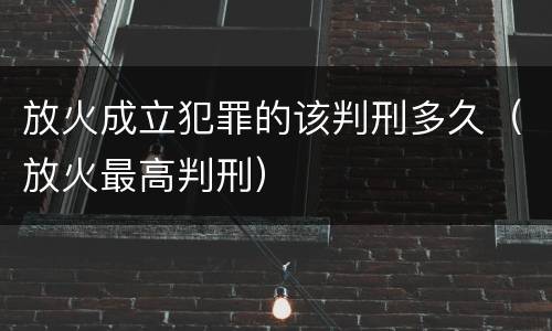 放火成立犯罪的该判刑多久（放火最高判刑）