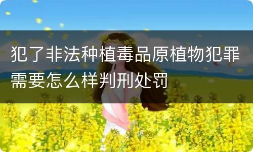 犯了非法种植毒品原植物犯罪需要怎么样判刑处罚