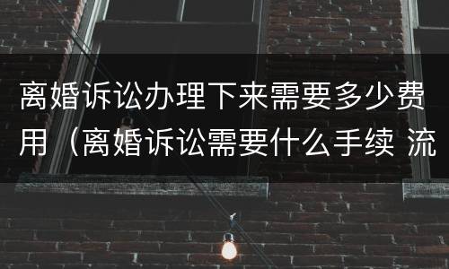 离婚诉讼办理下来需要多少费用（离婚诉讼需要什么手续 流程2021）