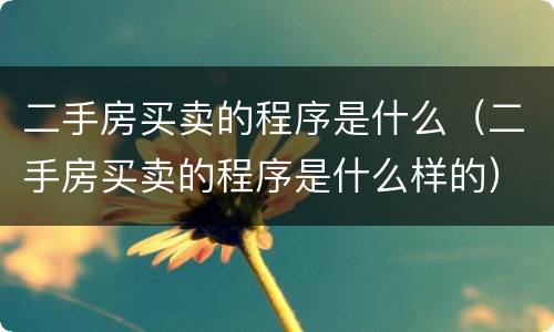 二手房买卖的程序是什么（二手房买卖的程序是什么样的）