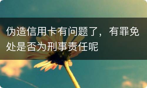 伪造信用卡有问题了，有罪免处是否为刑事责任呢