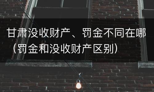 甘肃没收财产、罚金不同在哪（罚金和没收财产区别）