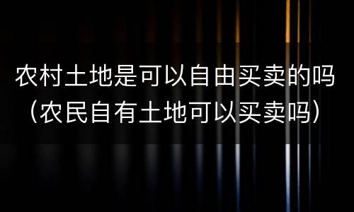 农村土地是可以自由买卖的吗（农民自有土地可以买卖吗）
