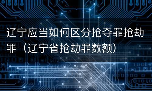 辽宁应当如何区分抢夺罪抢劫罪（辽宁省抢劫罪数额）
