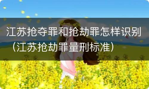 江苏抢夺罪和抢劫罪怎样识别（江苏抢劫罪量刑标准）
