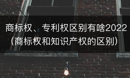 商标权、专利权区别有啥2022（商标权和知识产权的区别）