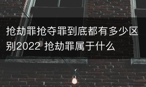 抢劫罪抢夺罪到底都有多少区别2022 抢劫罪属于什么