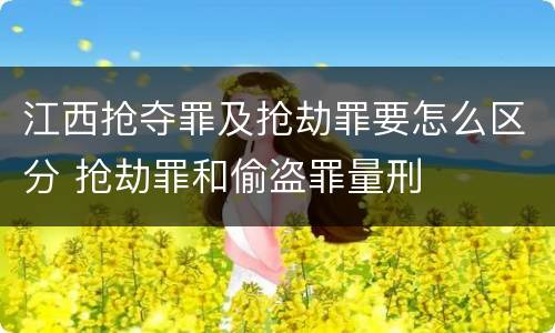 江西抢夺罪及抢劫罪要怎么区分 抢劫罪和偷盗罪量刑