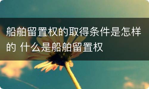 船舶留置权的取得条件是怎样的 什么是船舶留置权