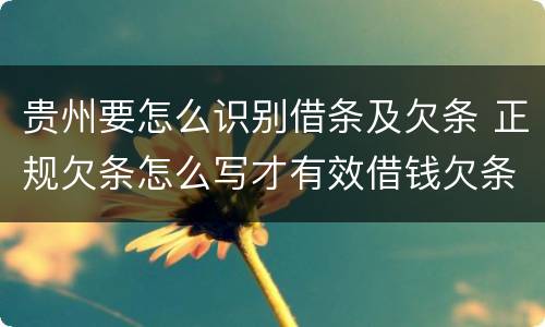 贵州要怎么识别借条及欠条 正规欠条怎么写才有效借钱欠条怎么写